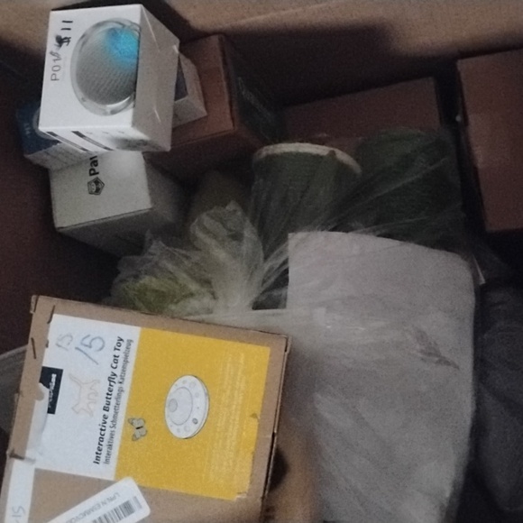 dog and cat accessories and stuff all 11 dls for holidays - Picture 2 of 2